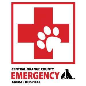 central emergency vet