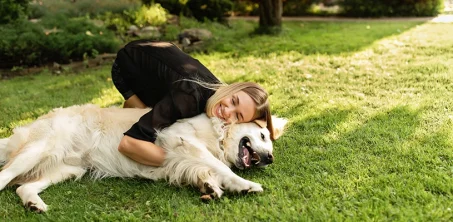 Emergency hospital for dogs